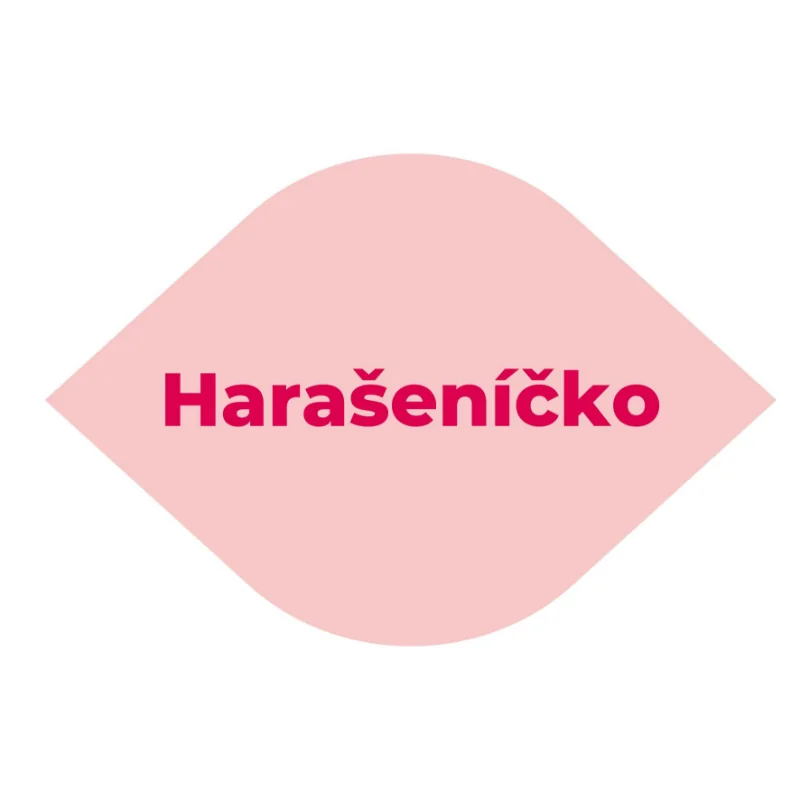 Pilgr Richard Harašeníčko – společenská stolní hra