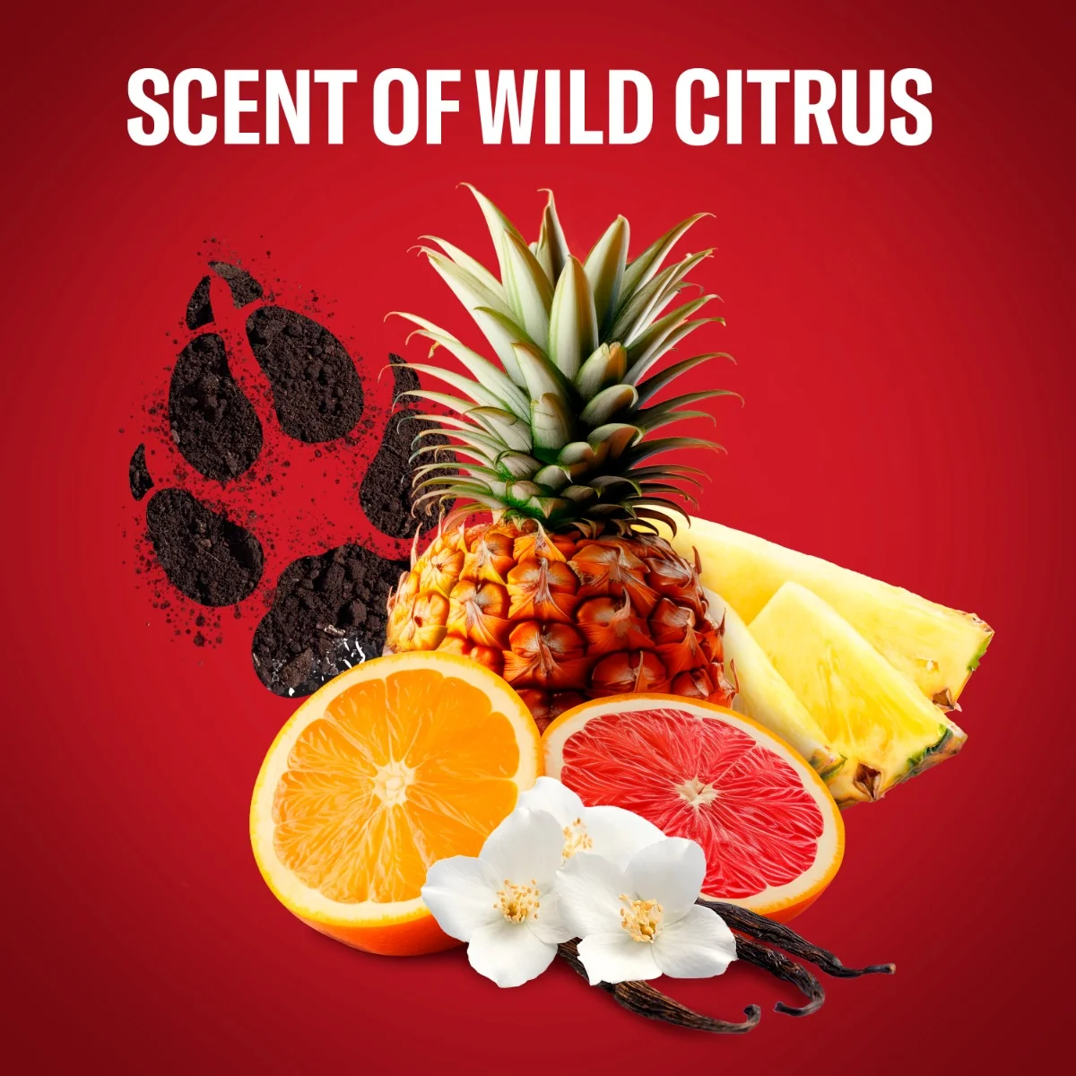 Old Spice Wolfthorn Voda po holení 100 ml