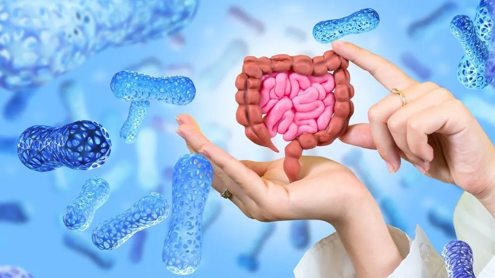 Střevní mikrobiom – jak funguje a co mu škodí?