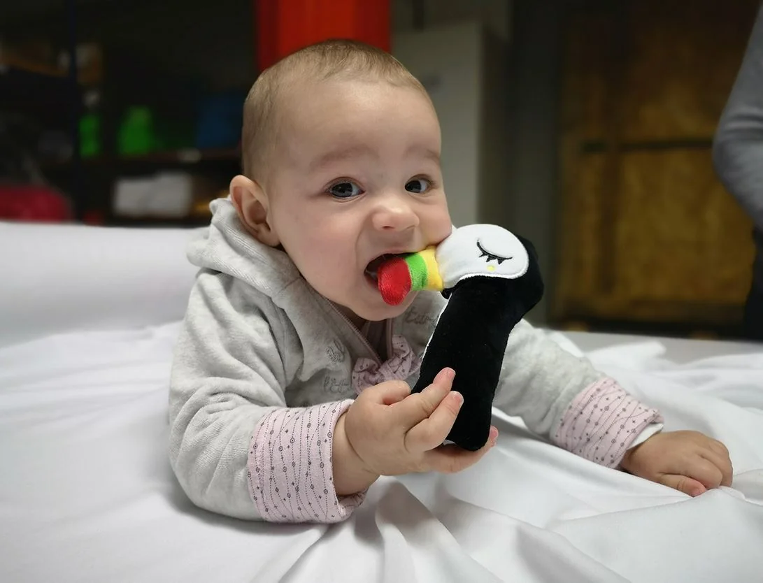 Hencz Toys Tukado - pískací edukační hračka