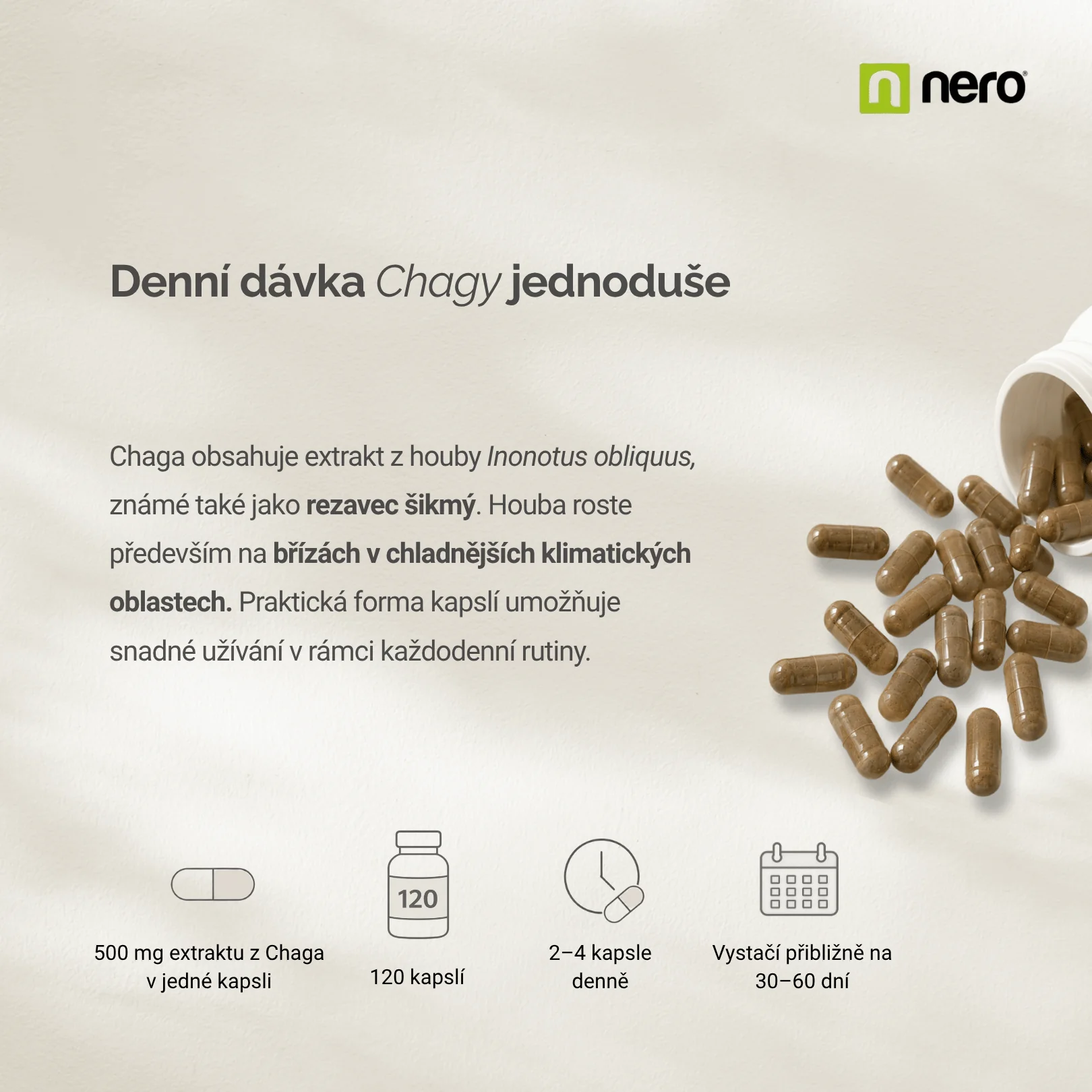 NERO Chaga 500 mg 120 kapslí