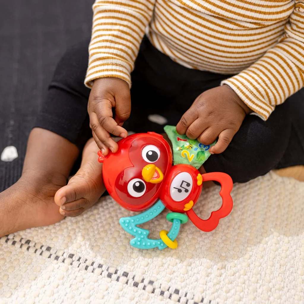 Baby Einstein Hračka hudební senzorická Roxy's Bright Flight™ 3m+