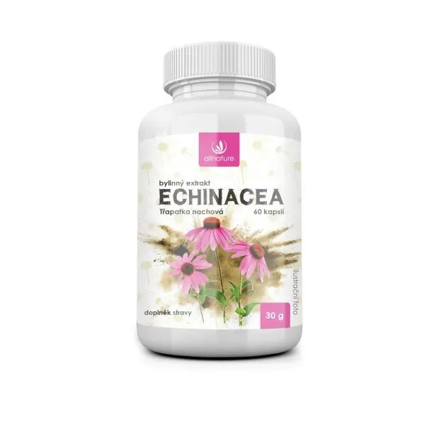 Allnature Echinacea bylinný extrakt 60 kapslí