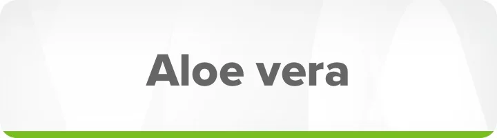 Aloe Vera