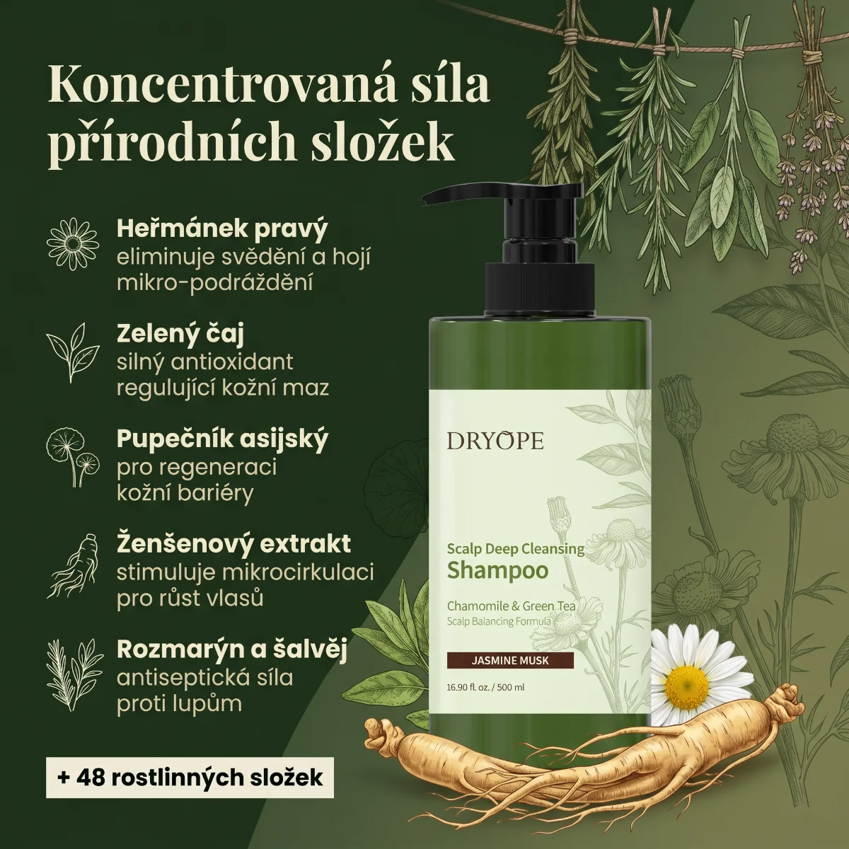 DRYOPE Jasmine Musk hloubkově čisticí šampon 500 ml