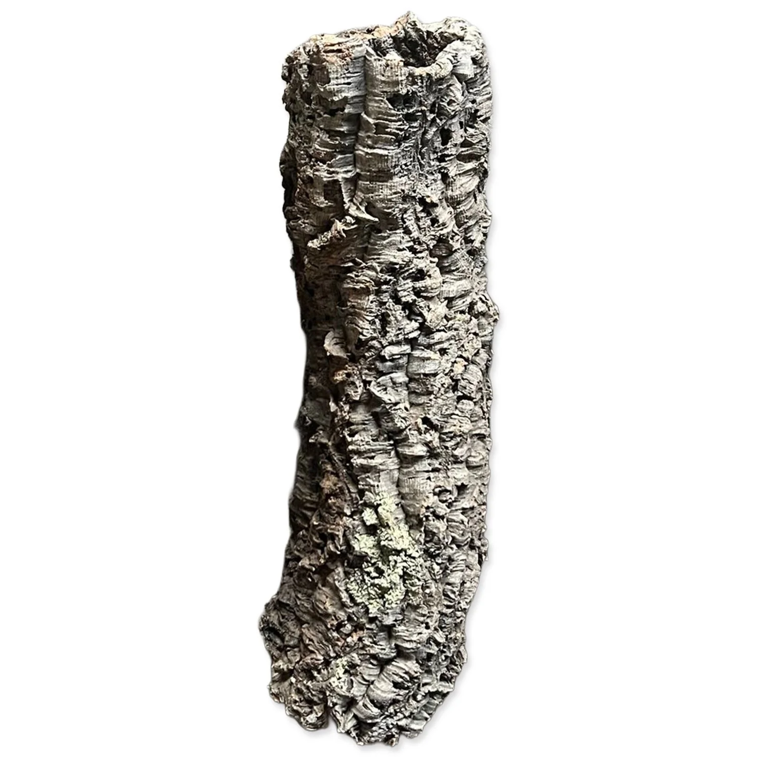 REPTI PLANET Dekorace Korková kůra L/ XL 50-90cm