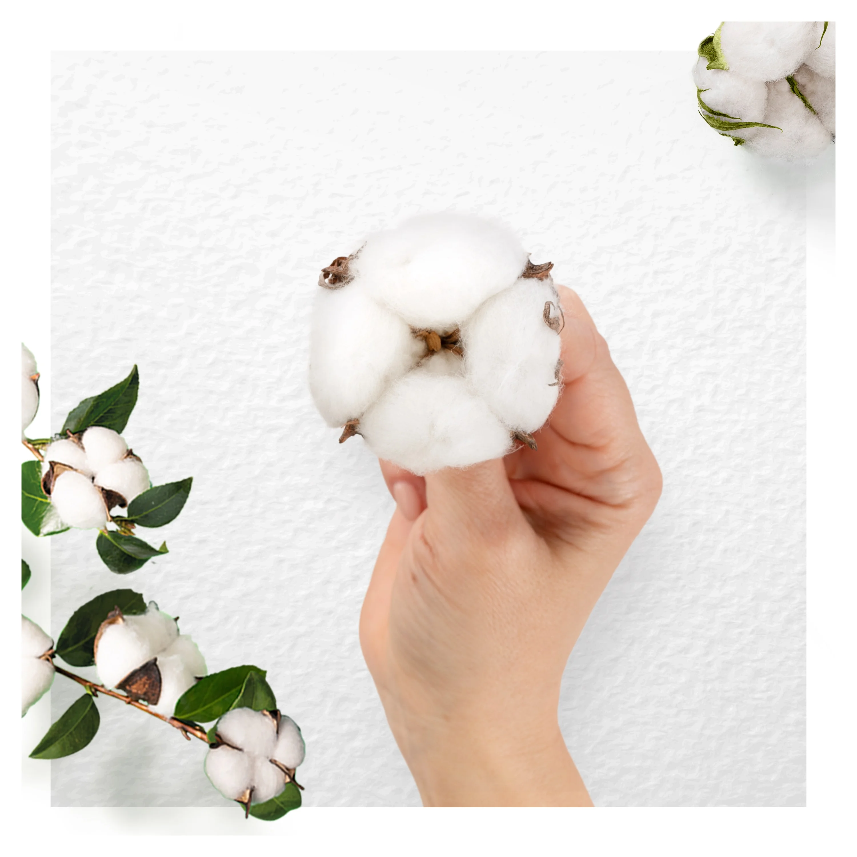 Always Organic Cotton Long hygienické vložky 9 ks