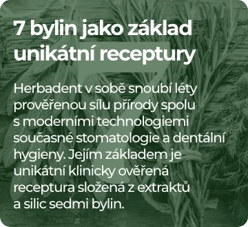 7 bylin jako základ receptury Herbadent