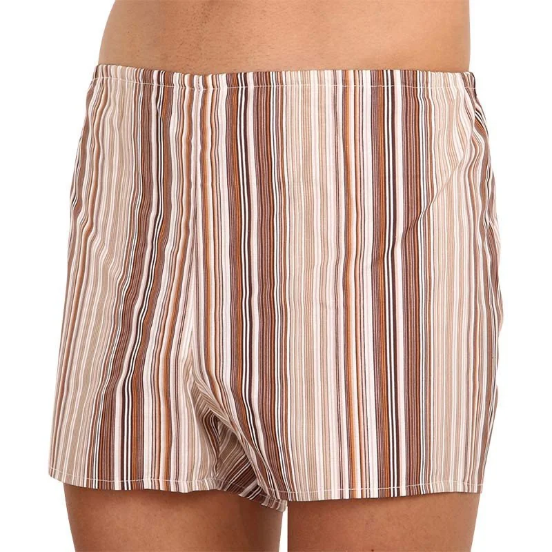 Foltýn 3PACK Klasické pánské trenky hnědé s proužky (3xK53) L