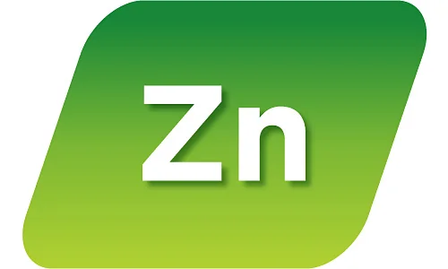 Zinek Zinek