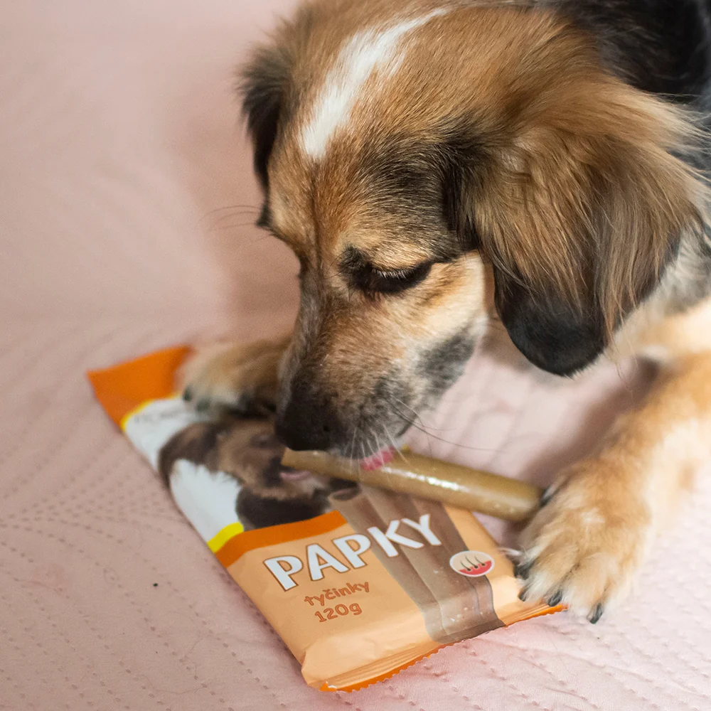 Akinu PAPKY Tyčinky pamlsek pro psy na srst a kůži 12 x 120 g