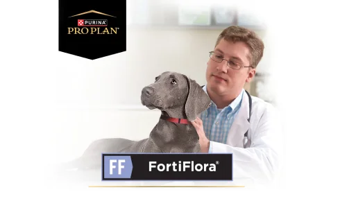 FortiFlora