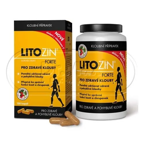 LitoZin Forte s vitaminem C cps.120