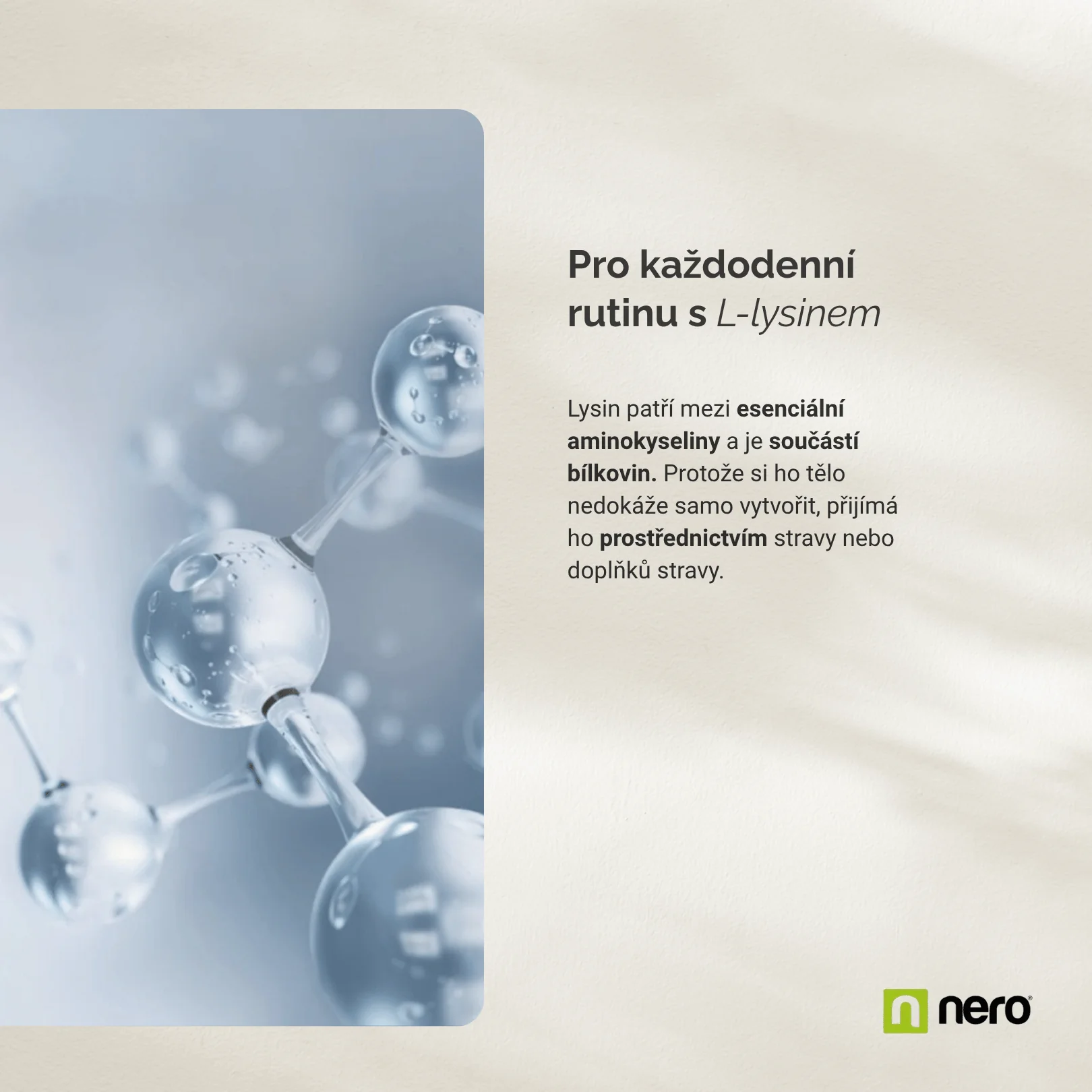 NERO L-Lysin 1000 mg 365 kapslí