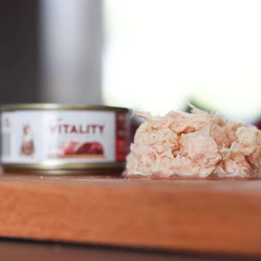Akinu VITALITY Kuřecí & kachní maso konzerva pro kočky 10 x 70 g