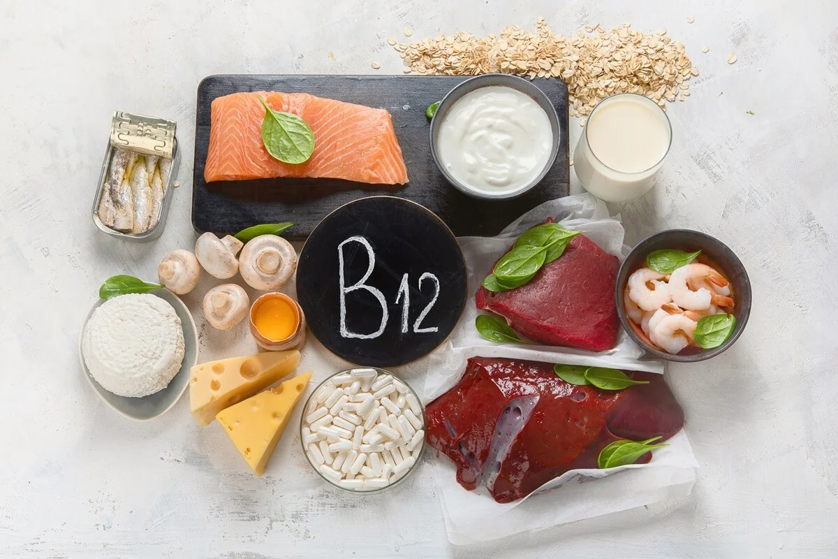 Živočišné zdroje vitamínu B12