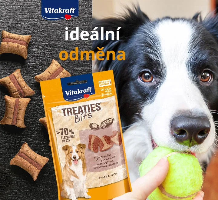 Treaties Bits. Ideální odměna.