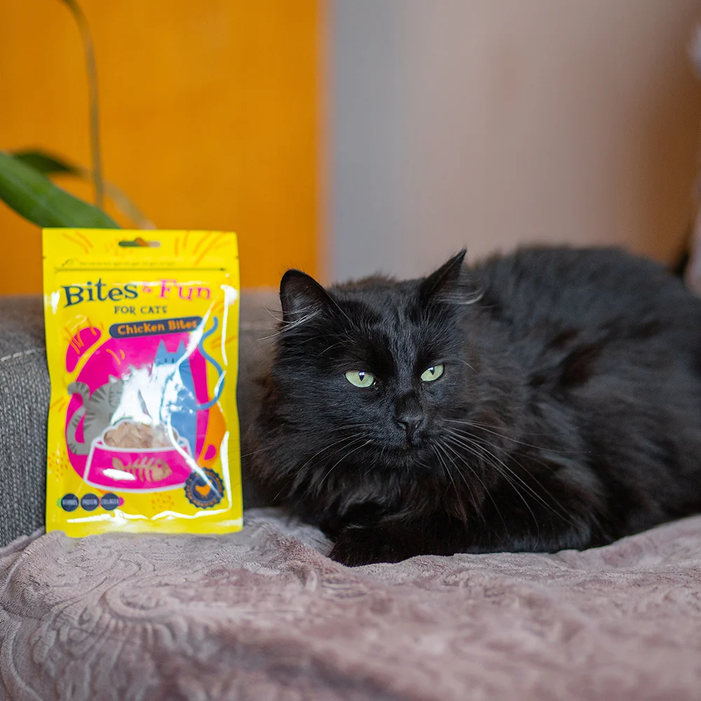 Akinu BITES & FUN Jehněčí & kuřecí & kachní pamlsek pro kočky 12 balení 60 g