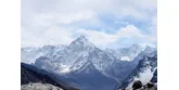 Tibetský rakytník ze „střechy světa“ pro imunitu i vitalitu