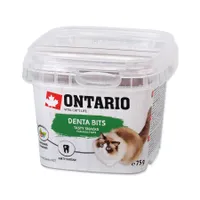 Ontario Dentální polštáky