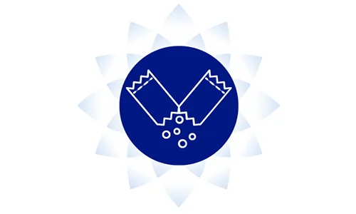 ikona