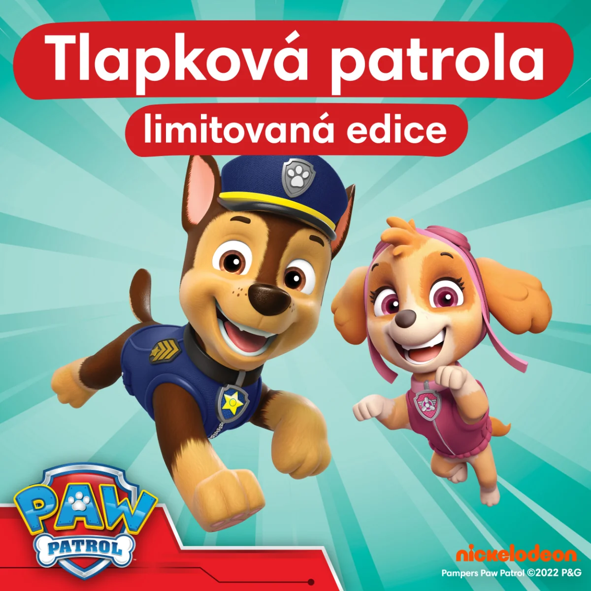 Pampers Pants vel. 6 13-19 kg plenkové kalhotky 60 ks