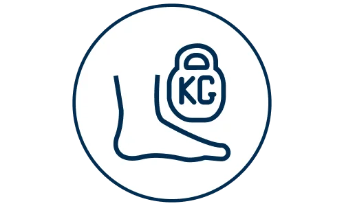 ikona