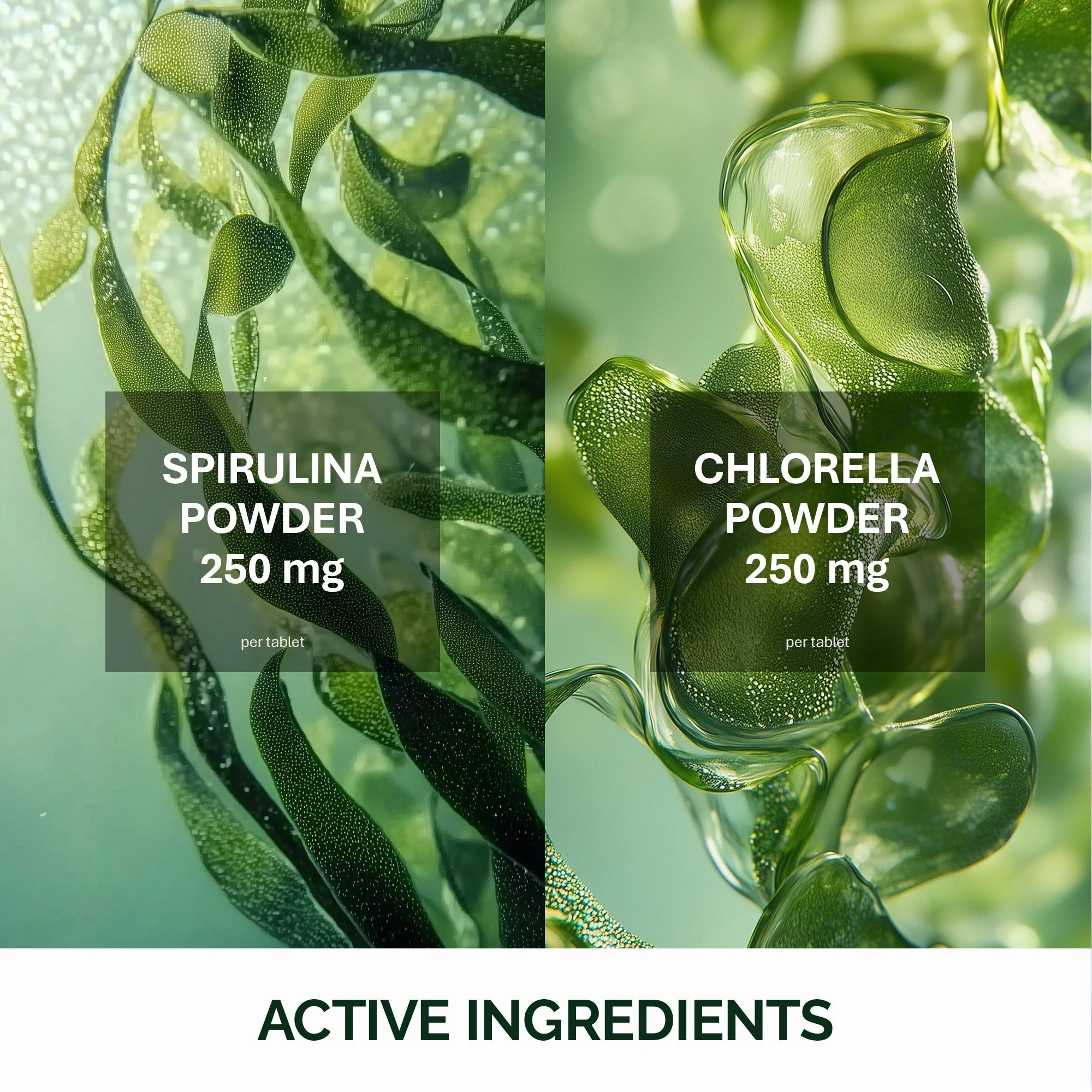NFO Spirulina a chlorella tablety