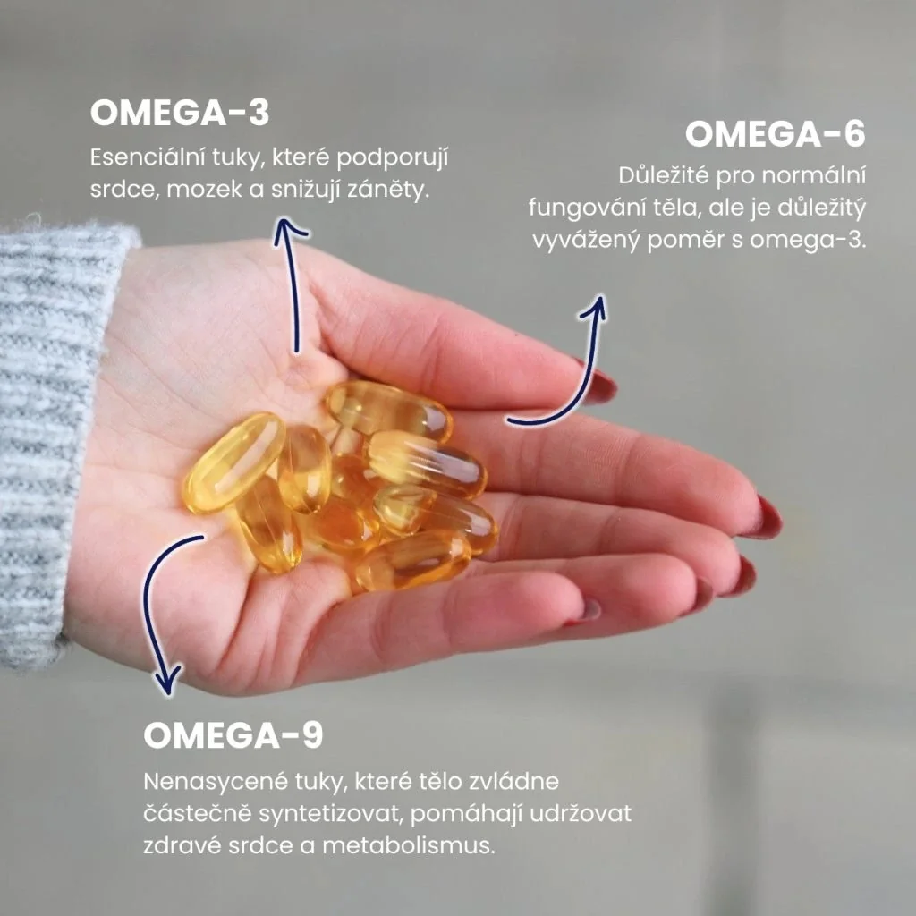 Renovality Omega 369 90 kapslí