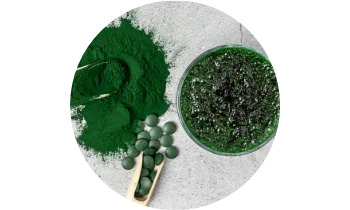 extrakt ze spiruliny extrakt ze spiruliny