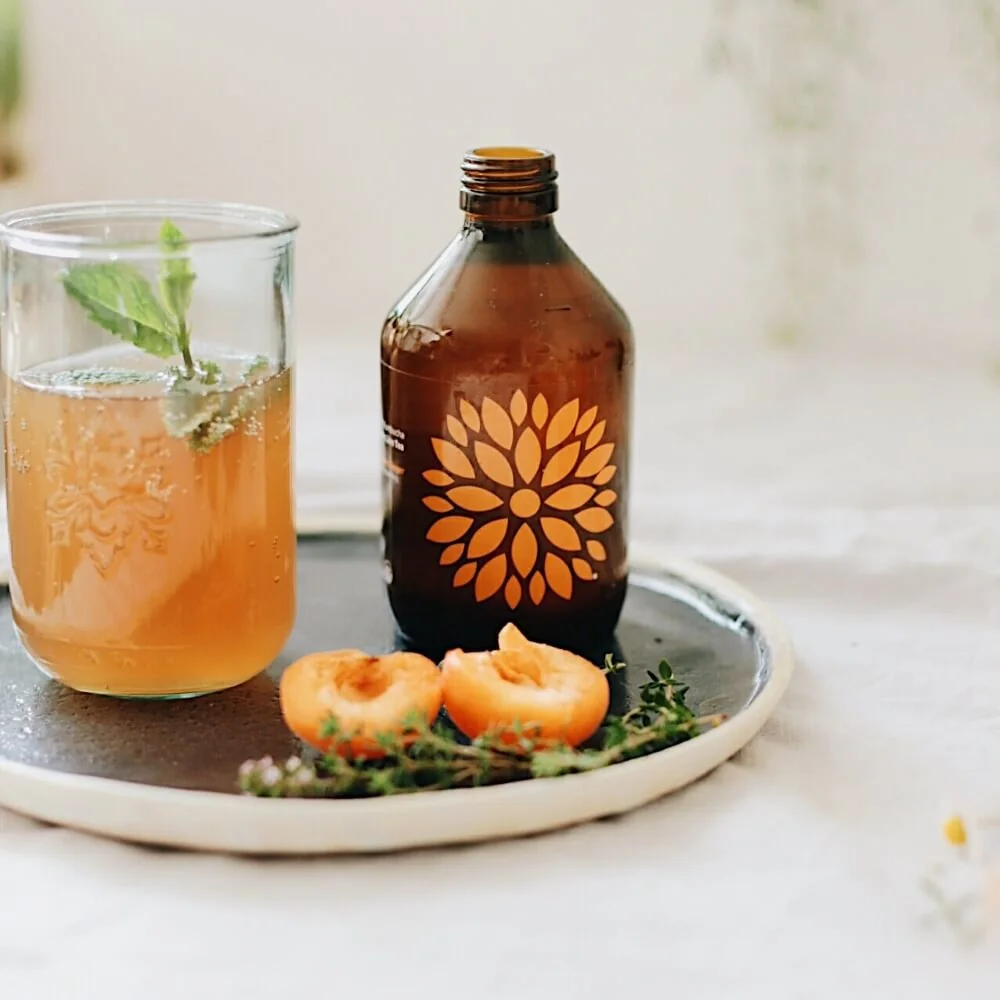 VIGO Kombucha acerola a zázvor BIO 330 ml