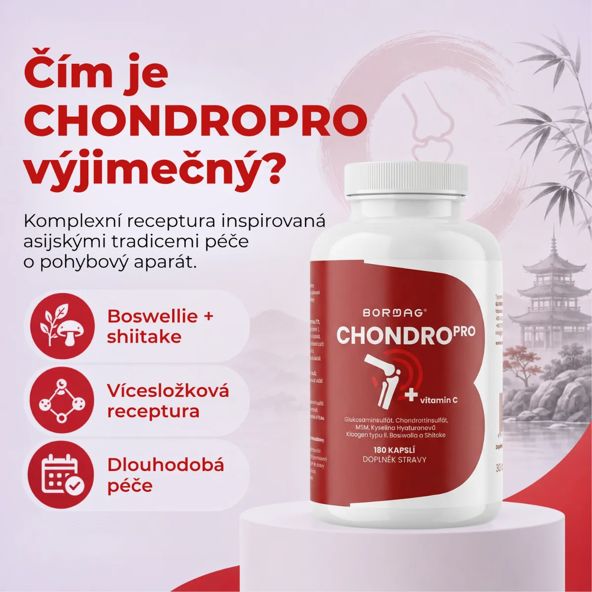 BORMAG ChondroPro komplex se shiitake a boswellií 180 kapslí