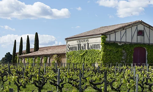 Statek na vinici Château Smith Haut Lafitte Statek na vinici Château Smith Haut Lafitte