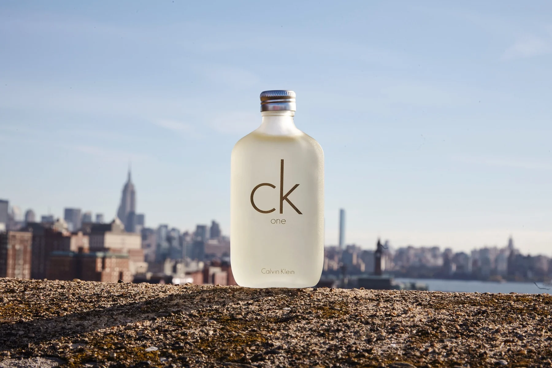 Calvin Klein One toaletní voda unisex 100 ml