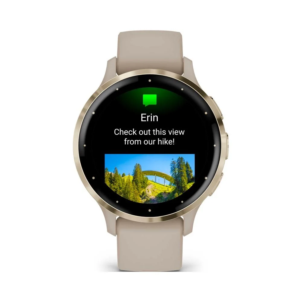 Garmin VENU 3S chytré hodinky French Gray/Soft Gold