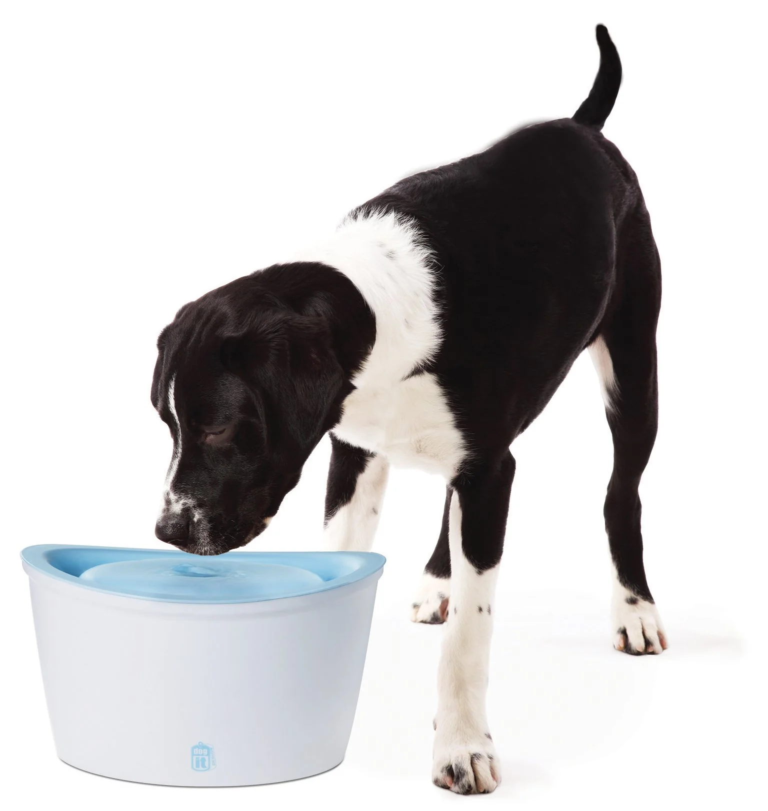 DOG IT Fontána ZEUS 6L
