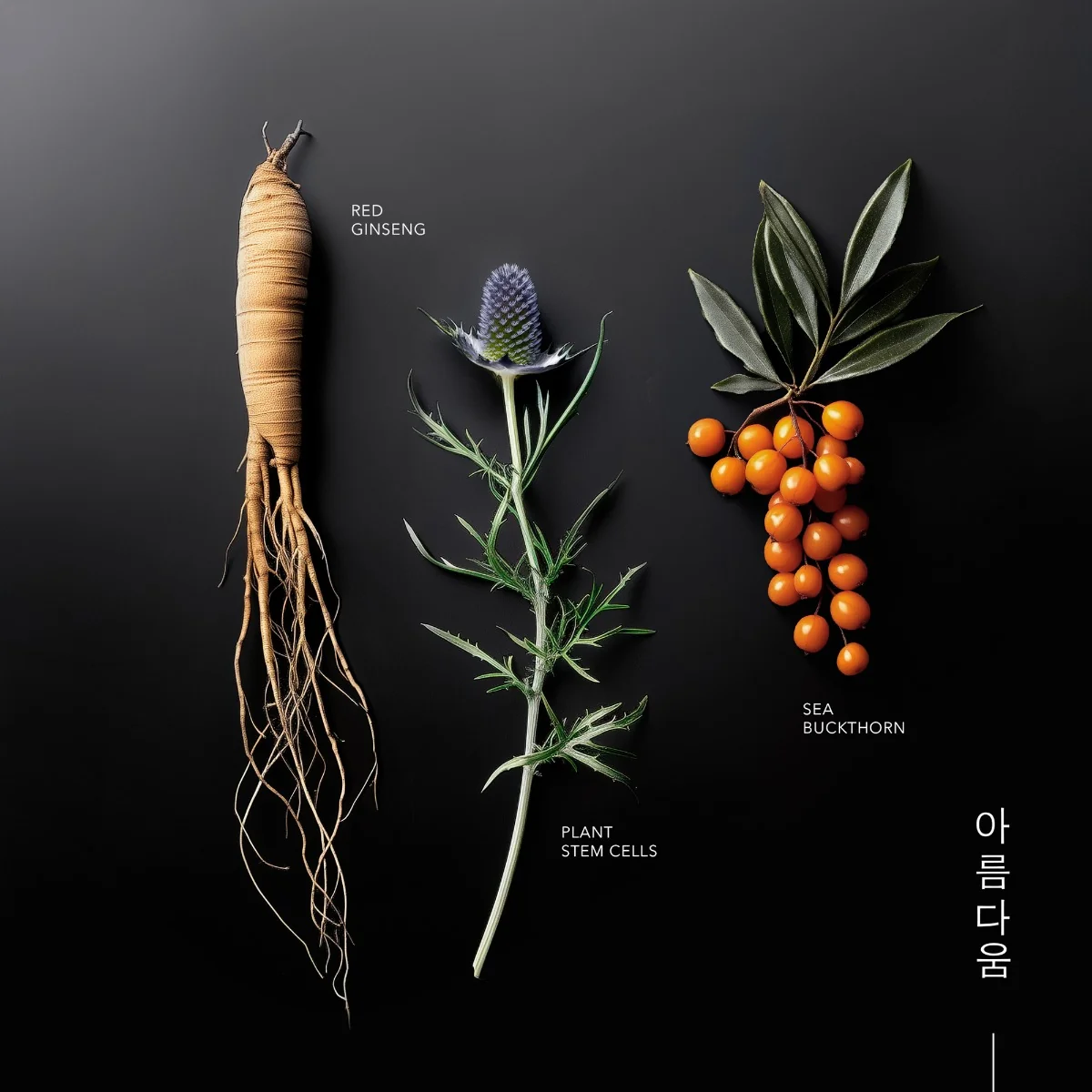 KORIKA Korean Heritage regenerační protivráskový oční krém 15 ml