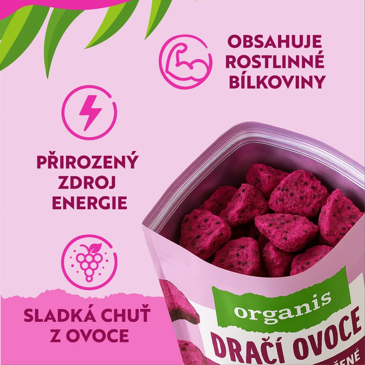 Organis Dračí ovoce mrazem sušené 30 g