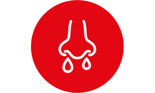 piktogram