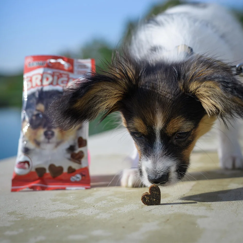 Akinu Uzená srdíčka pamlsek pro psy 12 x 60 g