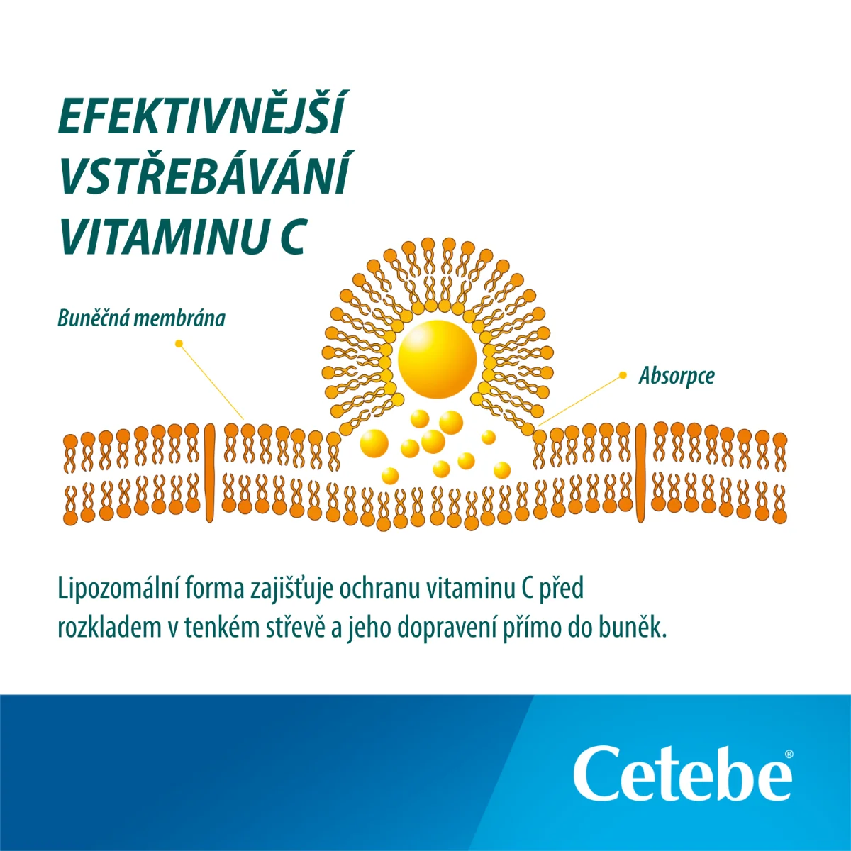 Cetebe Lipozomální vitamin C 500 mg 60 tobolek