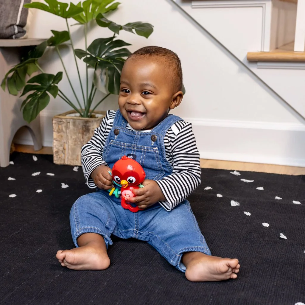 Baby Einstein Hračka hudební senzorická Roxy's Bright Flight™ 3m+