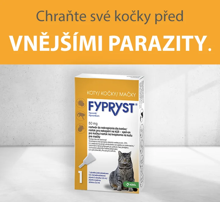Chraňte své kočky před vnějšími parazity. Chraňte své kočky před vnějšími parazity.