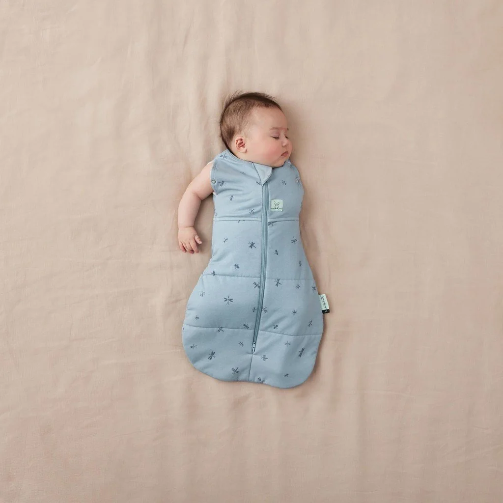 ergoPouch Zavinovačka a pytel na spaní 2v1 Cocoon Dragonflies 3-6 m, 6-8 kg, 2,5 tog 