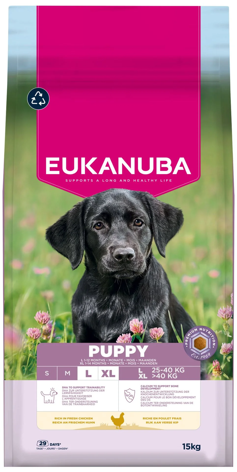 Eukanuba Krmivo Puppy Large rich in fresh chicken 15kg