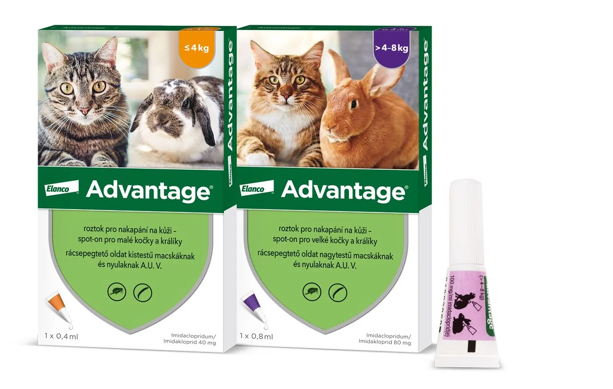 Advantage Roztok pro nakapání na kůži spot-on pro velké kočky a králíky 80 mg 1x0,8 ml