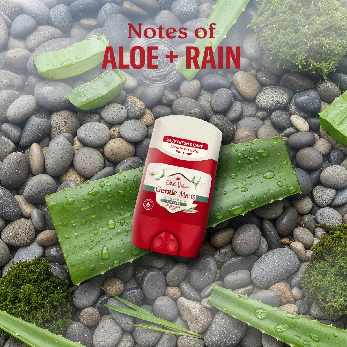 Old Spice Gentle Man's Aloe + Rain tuhý deodorant 50 ml