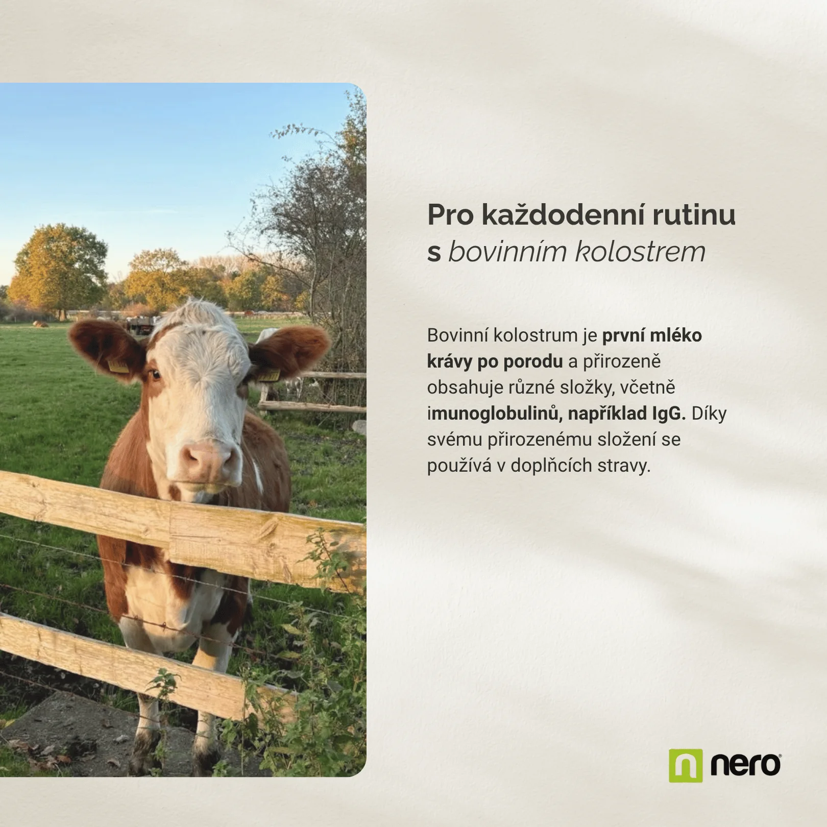 NERO Colostrum 500 mg 180 kapslí