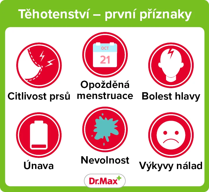 Těhotenství  první příznaky