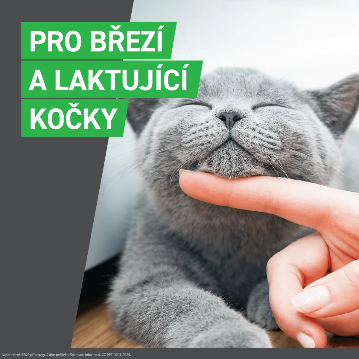 FRONTLINE COMBO pro kočky 3 pipety